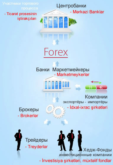 forex schematic diagram